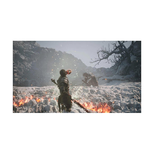 Black Myth: Wukong for PS5