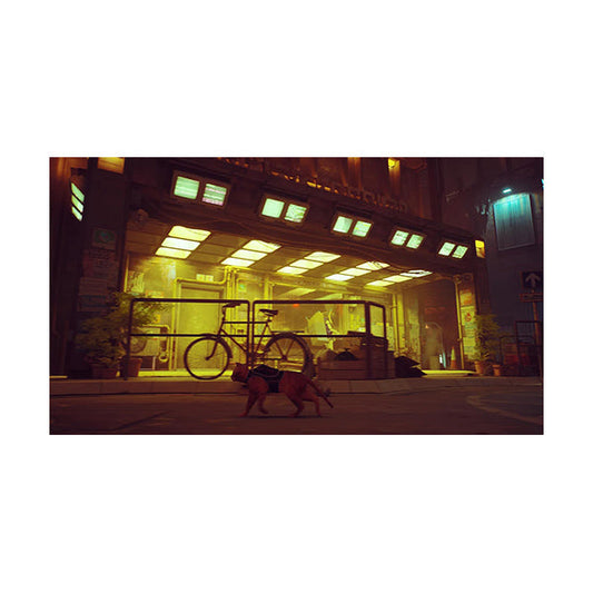 Stray - Nintendo Switch