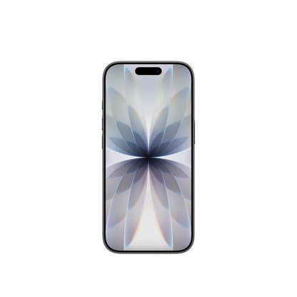 iPhone 17 256GB Black