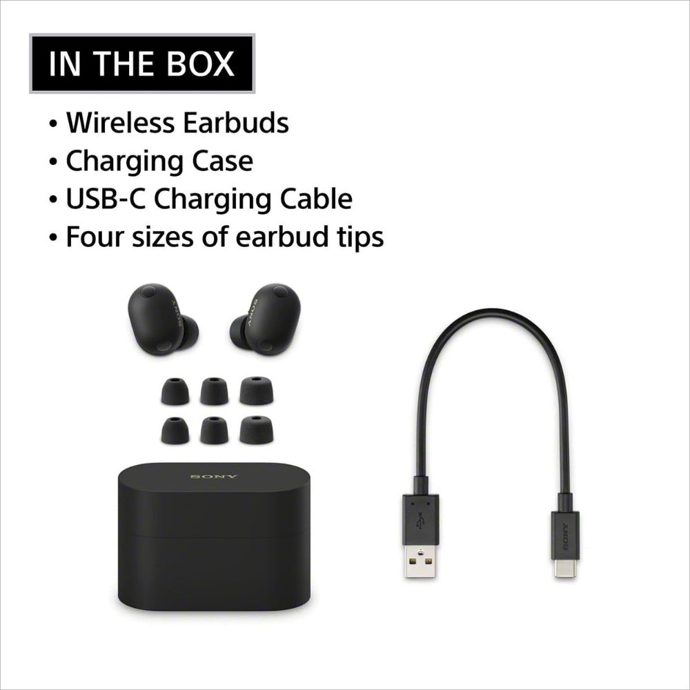 Sony WF-1000XM6 ANC Wireless Earbuds