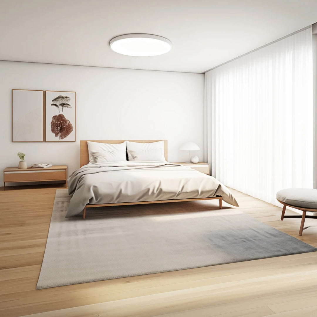 Xiaomi Smart Ceiling Light D20