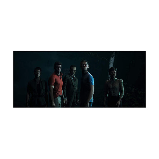 The Dark Pictures: Little Hope - PS4