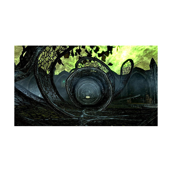 Skyrim- The Elder Scrolls 5 - Anniversary Edition - PS4