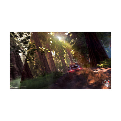 V-Rally 4 - PS4