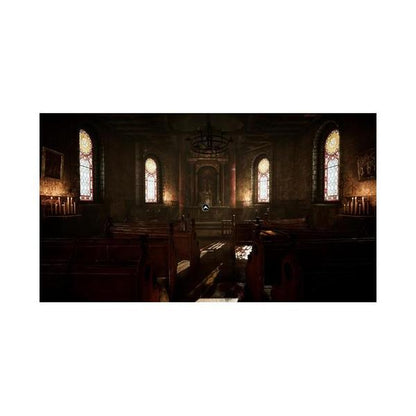 Amerzone - The Explorer's Legacy - PS5