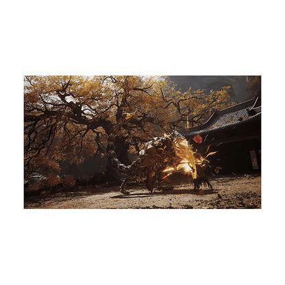 Black Myth: Wukong for PS5