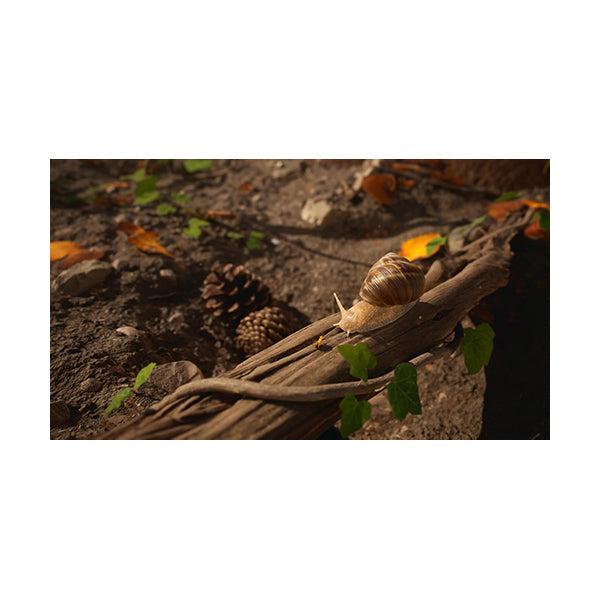 Empire of the Ants - PS5