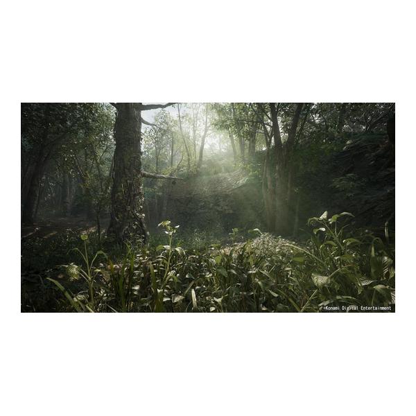 METAL GEAR SOLID Δ: SNAKE EATER TACTICAL ED - PS5