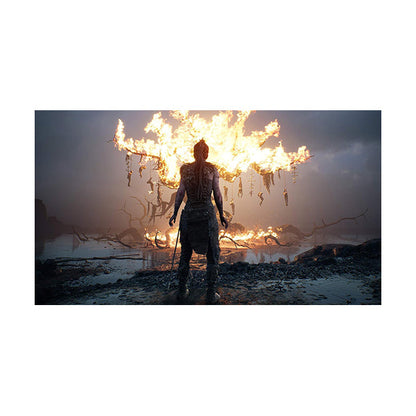 Hellblade: Senua’s Sacrifice - PS4