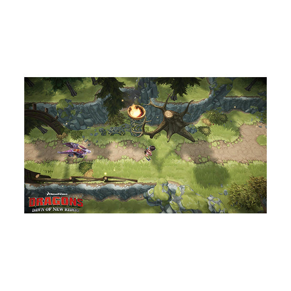 Dragons: Dawn Of New Riders - Nintendo Switch