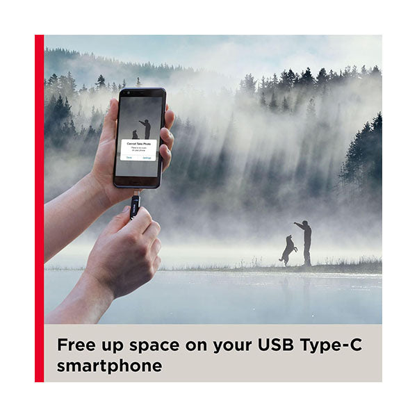 SanDisk 256GB Ultra Dual Drive Go USB Type-C Flash Drive, Black - SDDDC3-256G-G46