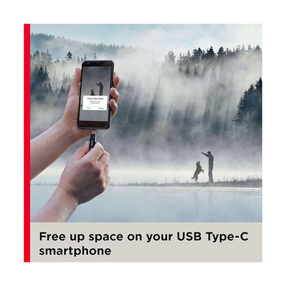 SanDisk 128GB Ultra Dual Drive Go USB Type-C Flash Drive, Black - SDDDC3-128G-G46