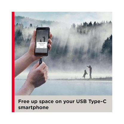 SanDisk 64GB Ultra Dual Drive Go USB Type-C Flash Drive - SDDDC3-64G-G46