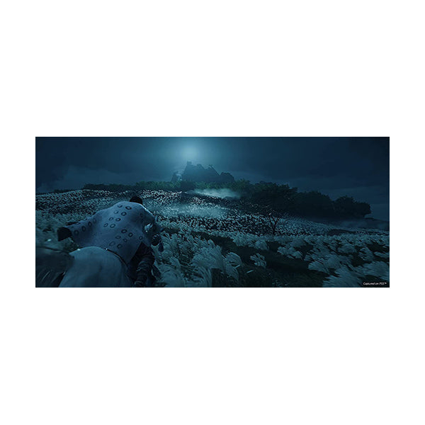Ghost of Tsushima: Director's Cut - PS4