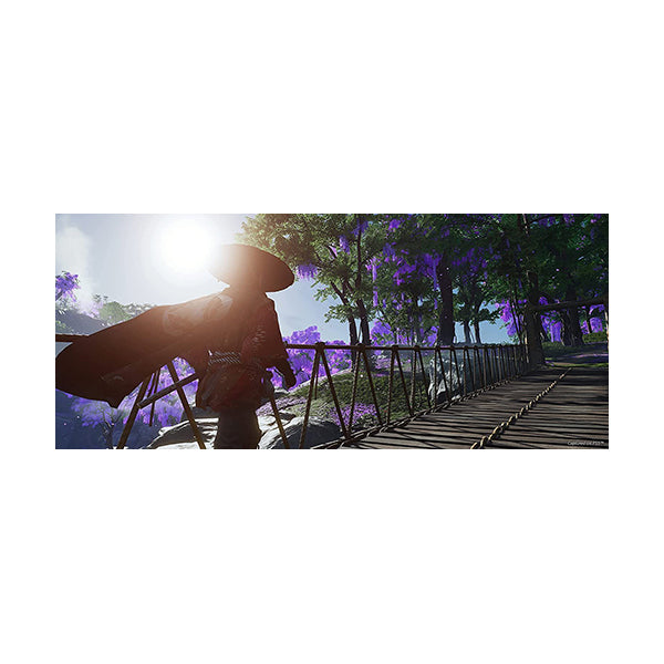 Ghost of Tsushima: Director's Cut - PS4