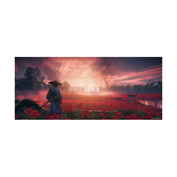 Ghost of Tsushima: Director's Cut - PS4