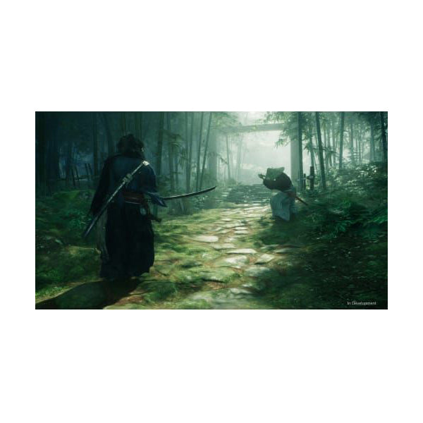 Rise of The Ronin - PS5